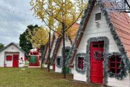 Natal Luz traz programação gratuita para a população de Rio Verde a partir deste domingo (07)