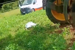Descarga elétrica mata jovem durante trabalho em fazenda de Paraúna