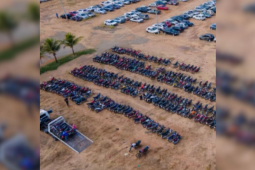 Detran Goiás coloca 2,8 mil veículos em leilão