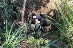 Corpo é encontrado em área de mata no Parque das Esmeraldas; polícia investiga homicídio