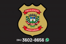 Perturbação de sossego agora pode ser denunciado em novos canais de atendimento