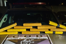 COD prende homem com 11 kg de maconha em ônibus com destino a Brasília