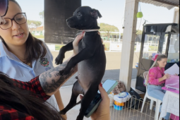 Feira de adoção na Expo Rio Verde disponibiliza cães vacinados, vermifugados e com vale-castração
