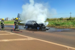 Carro com quatro passageiras colide em carreta e pega fogo na BR-060, em Rio Verde