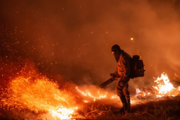 Goiás decreta emergência ambiental e proíbe uso do fogo em áreas de vegetação até outubro