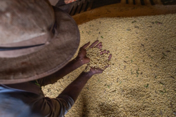 Goiás fecha 2025 com superávit de mais de US$ 8 bilhões na balança comercial