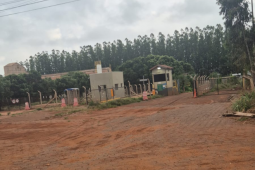 Homem morre após confronto com a Polícia Militar às margens da GO-174, em Rio Verde