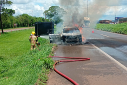 Incêndio destrói picape na BR-060 próximo à indústria em Rio Verde