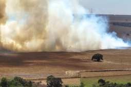 Incêndios perto da rede elétrica exigem atenção; saiba o que fazer para evitar acidentes