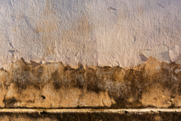 Briga entre vizinhos por causa de infiltração em residência acaba na delegacia, em Rio Verde