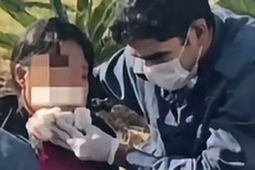 Ambulante autista é baleada no rosto em frente à rodoviária de Goiânia; suspeito morre após confronto com a PM