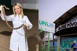 Mulher é picada por jararacuçu em Rio Verde, captura a serpente e a leva ao hospital