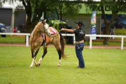 Pecuária na Tecnoshow 2026 une inovação, prática no campo e tradição rural