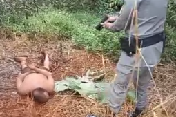 PM prende suspeito de tentativa de homicídio após esfaqueamento em Montividiu