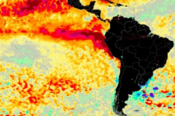 El Niño é confirmado e pode atingir intensidade histórica nos próximos meses, alertam meteorologistas