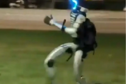 Robô humanoide persegue javalis e cena viraliza na Polônia