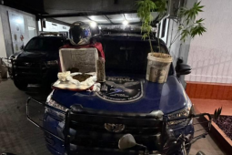 GCM prende entregador que realizava delivery de drogas em Rio Verde