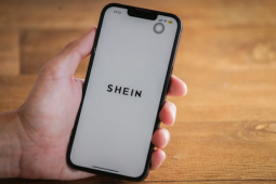 França ameaça banir Shein após descoberta de venda de bonecas sexuais com aparência infantil