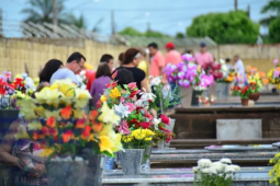 Preços de flores para o Dia de Finados variam até 650% em Rio Verde, alerta Procon