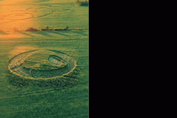 Marca misteriosa em plantação da zona rural de Rio Verde chama atenção