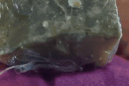 Drogas escondidas em ursinho de pelúcia são apreendidas pela Força Tática em Rio Verde