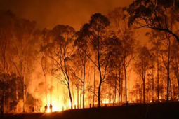 Secretaria Estadual de Meio Ambiente define regras para incêndios criminosos em Goiás