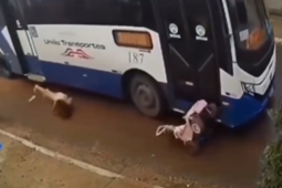 Mulher e bebê escapam por pouco após acidente envolvendo ônibus em Várzea Grande