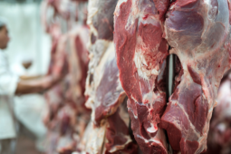 EUA e México importam maiores volumes mensais de carne bovina brasileira da história em abril