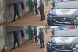 Cena curiosa em Rio Verde de caramelo imitando suspeitos em abordagem é real?