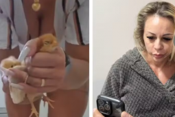 Suspeita de torturar e matar animais esmagando-os para vender vídeos na internet é solta horas após ser presa