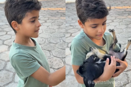 Menino convence mãe a adotar cachorrinha que ninguém quis em feira