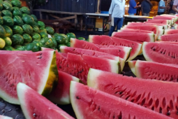 Tradicional Festa da Melancia começa nesta sexta-feira em Lagoa do Bauzinho