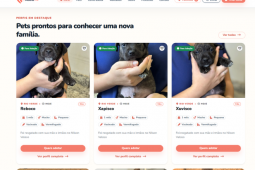Prefeitura lança plataforma para adoção de cães e gatos resgatados de maus-tratos em Rio Verde