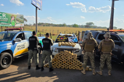 Operação intercepta 130 kg de skunk na GO-060 e prende dois suspeitos