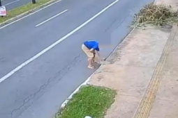 Justiça concede liberdade provisória a idoso investigado por jogar cachorra em bueiro em Goiânia