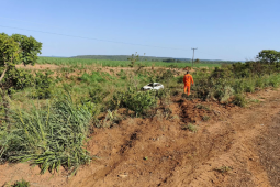 Motorista morre após carro atingir anta e capotar na GO-341, em Mineiros