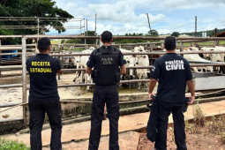 Operação Cash Cow investiga esquema de fraude fiscal e lavagem de dinheiro no setor de carnes