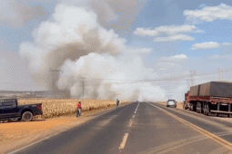Incêndio às margens da GO-174 interdita rodovia entre Rio Verde e Montividiu