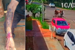 Policial de folga intervém durante ataque de pitbull e ajuda a socorrer idoso em Rio Verde