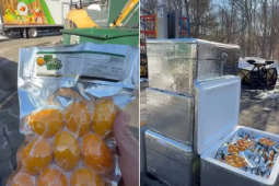 Goiano faz sucesso nos Estados Unidos vendendo pequi