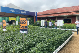 Ciência e inovação impulsionam o agro na Tecnoshow COMIGO 2026 em Rio Verde