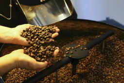 Trump recua e Casa Branca isenta produtos agrícolas de tarifas recíprocas