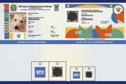 'RG Animal': Veja como emitir documento lançado pelo governo para cães e gatos