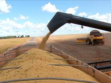 Ifag mantém safra de soja em Goiás acima das 14 milhões de toneladas