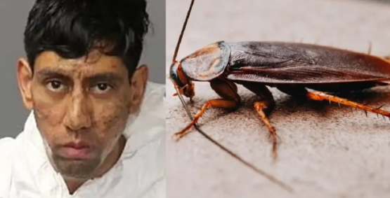 Acusado de duplo homicídio afirma ter recebido 