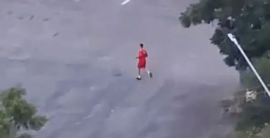 Bombeiro mata cachorro a tiros e caso gera repercussão em Goiânia; Bombeiros emitem nota