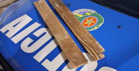 Mulher agride policiais com tábuas após destruir caminhonete