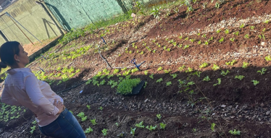 Horta na Escola leva sustentabilidade e alimentação saudável a alunos da Maria Brígida