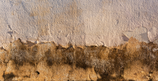 Briga entre vizinhos por causa de infiltração em residência acaba na delegacia, em Rio Verde