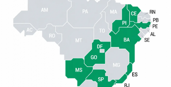 Levantamento aponta Goiás entre estados com chance de decisão no primeiro turno